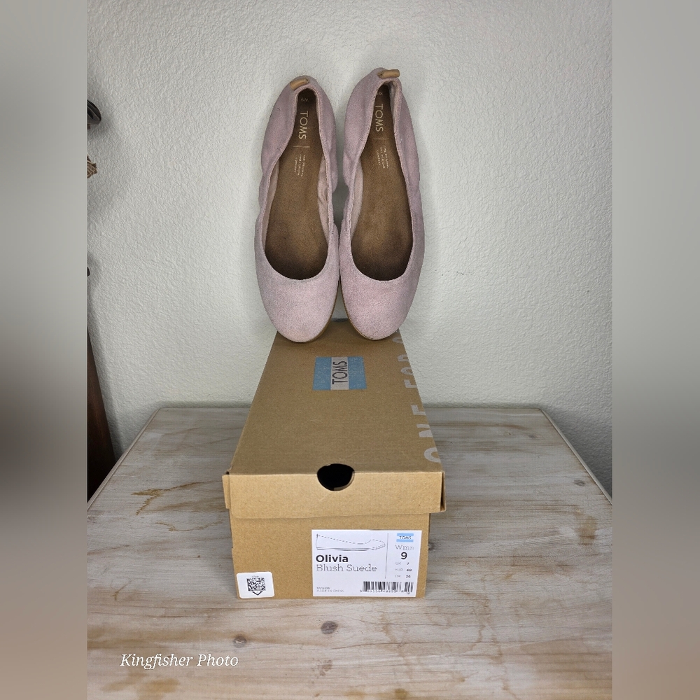 TOMS Olivia Blush Suede Women Shoes